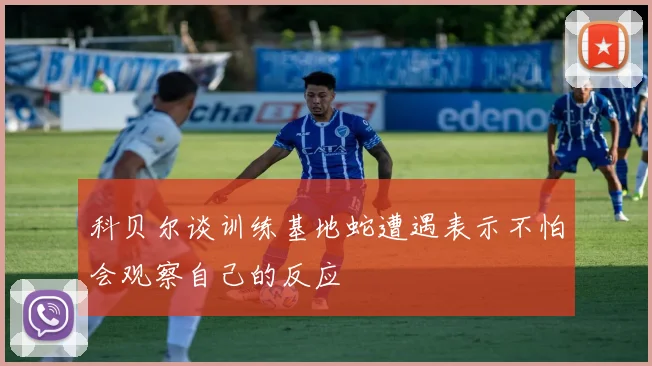 科贝尔谈训练基地蛇遭遇表示不怕会观察自己的反应